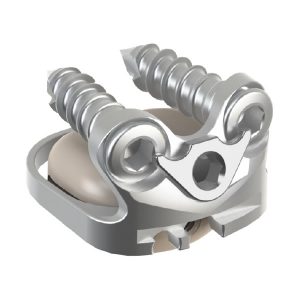 Discal prosthesis